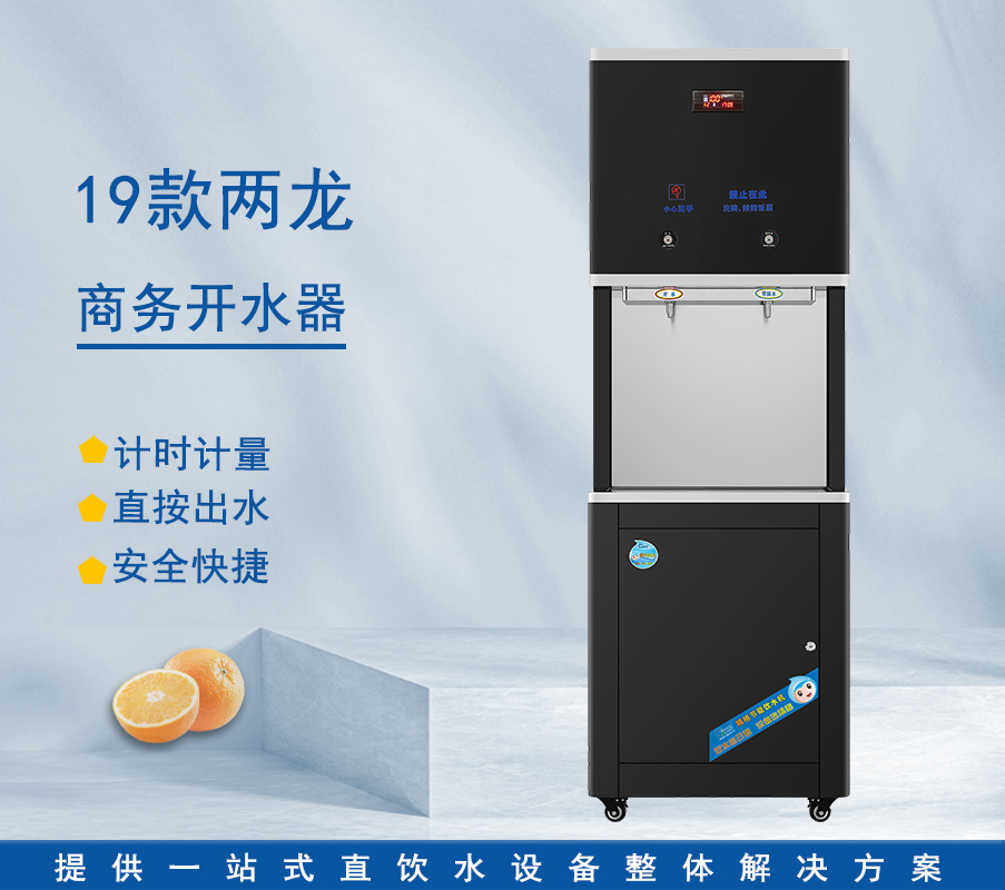 19款两龙商用开水器